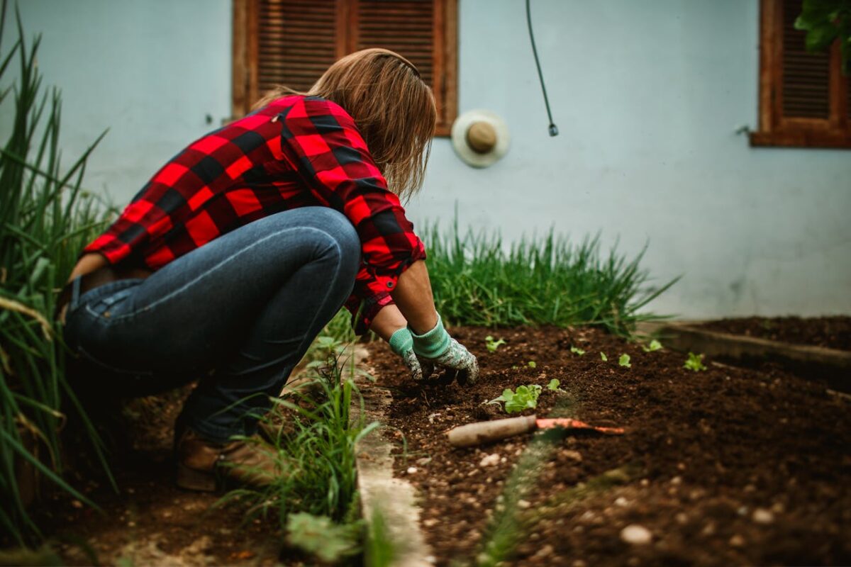 Woman tending plants in an outdoor garden, wearing casual attire and gloves